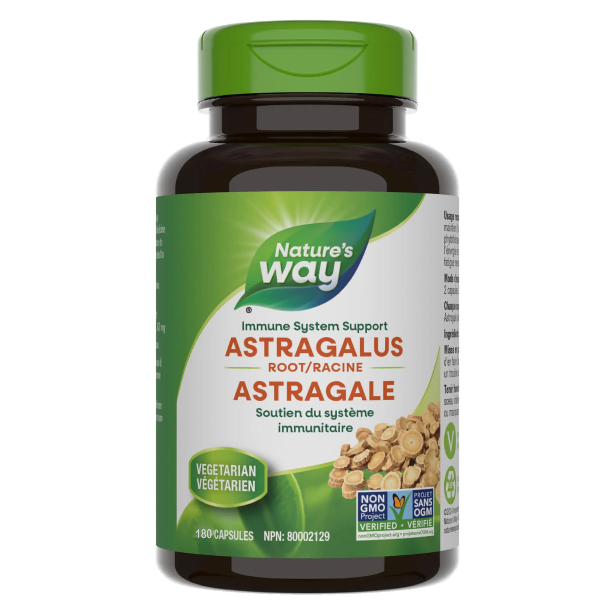 Astragalus Root