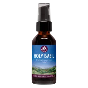 Holy Basil