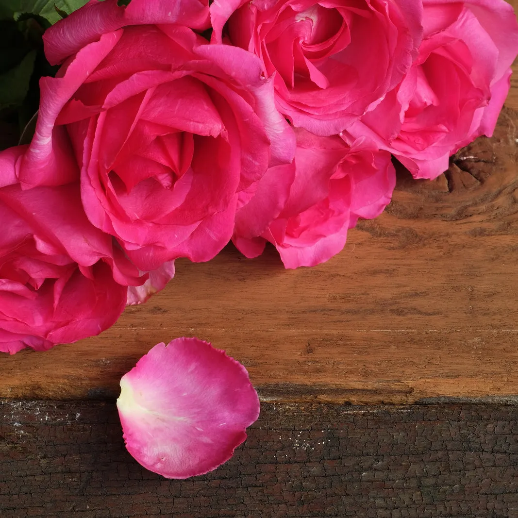 Natural Rose Vanilla Cedarwood Fragrance Oil